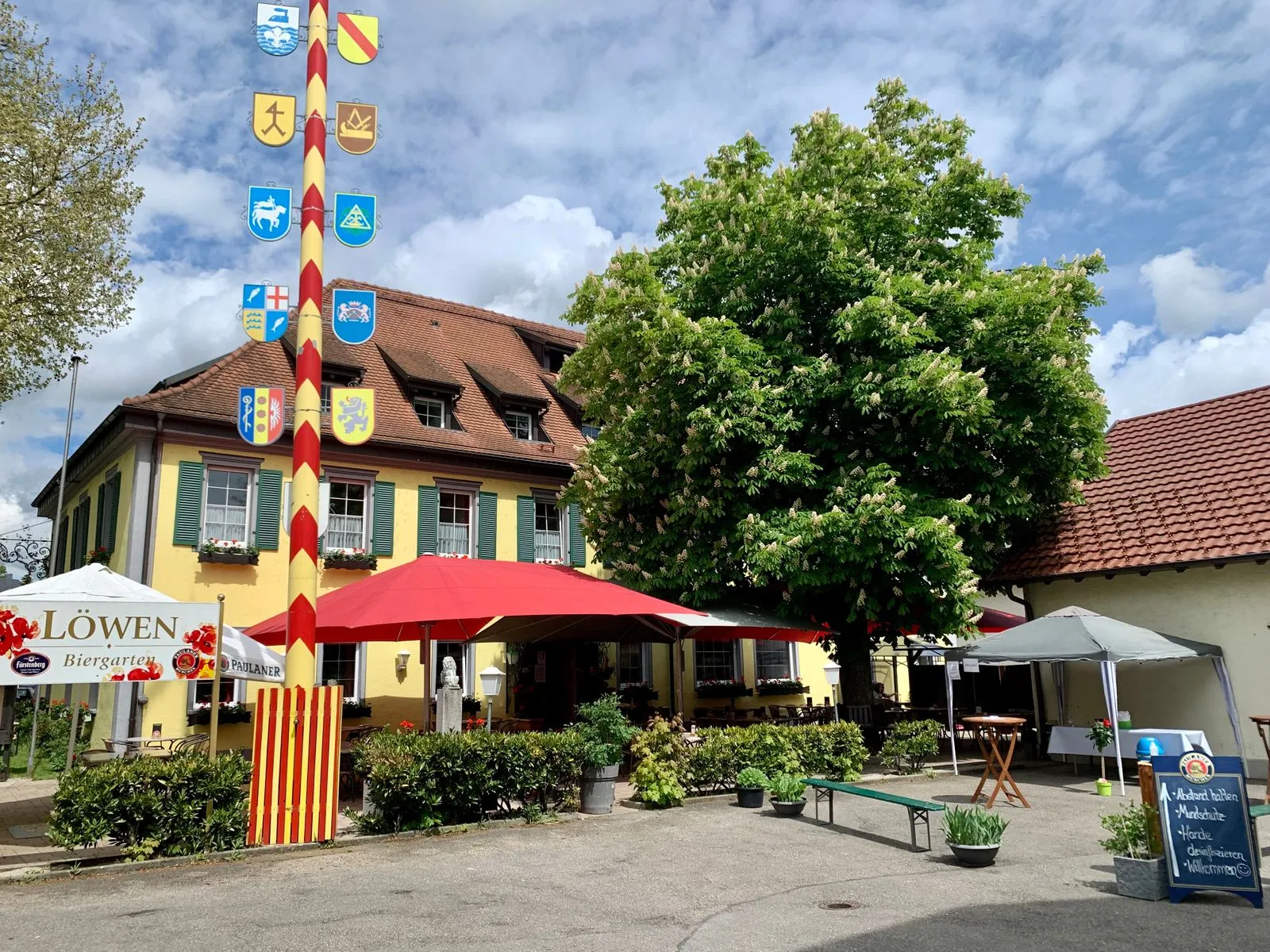 Der Löwen in Rielasingen mit Maibaum, roten Sonnenschirmen und der großen Kastanie im Biergarten